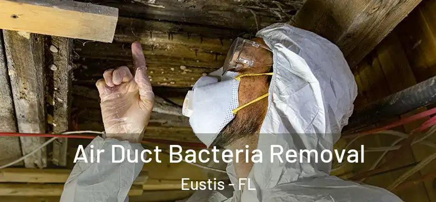 Air Duct Bacteria Removal Eustis - FL