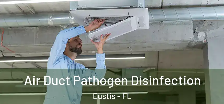 Air Duct Pathogen Disinfection Eustis - FL