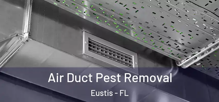 Air Duct Pest Removal Eustis - FL