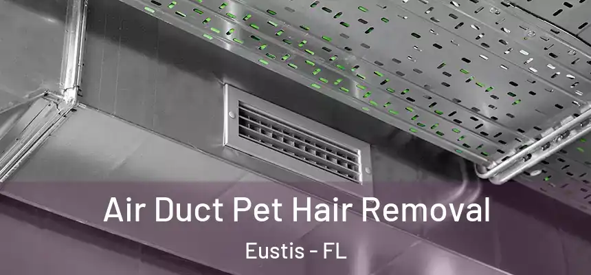  Air Duct Pet Hair Removal Eustis - FL