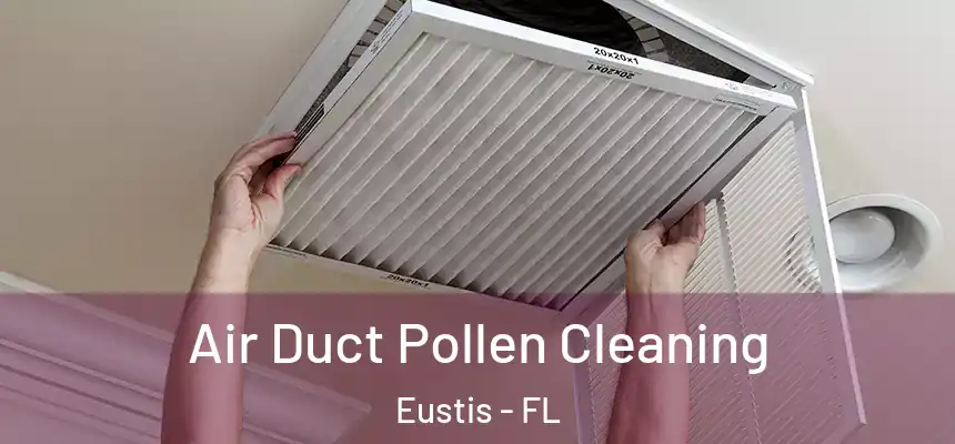 Air Duct Pollen Cleaning Eustis - FL