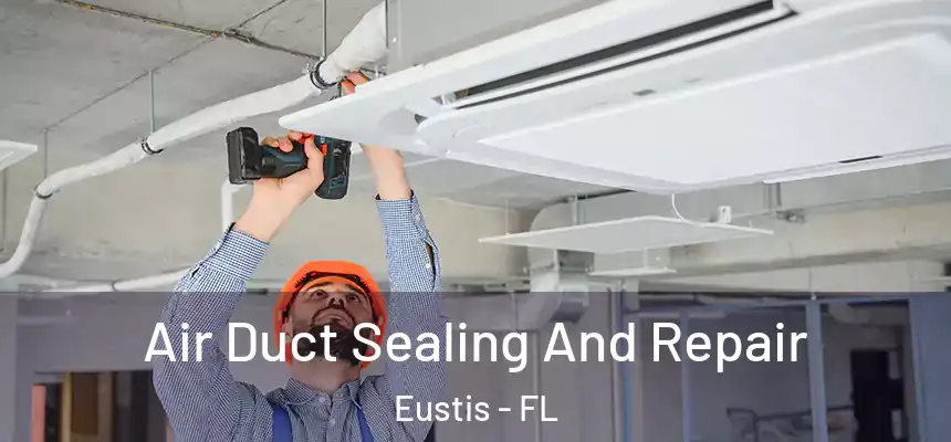  Air Duct Sealing And Repair Eustis - FL