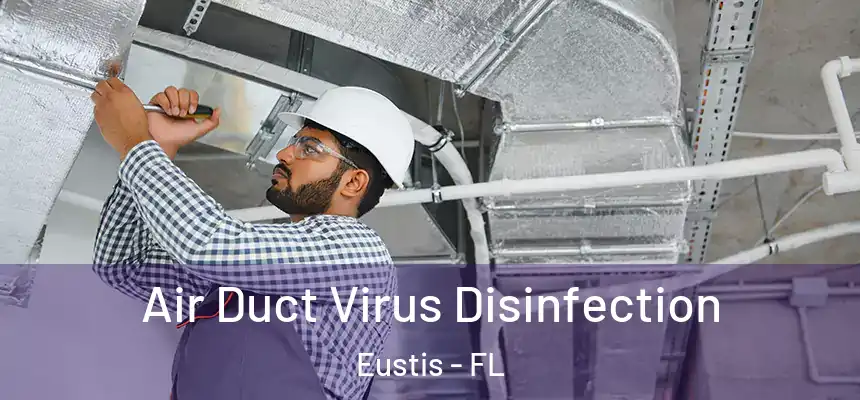 Air Duct Virus Disinfection Eustis - FL