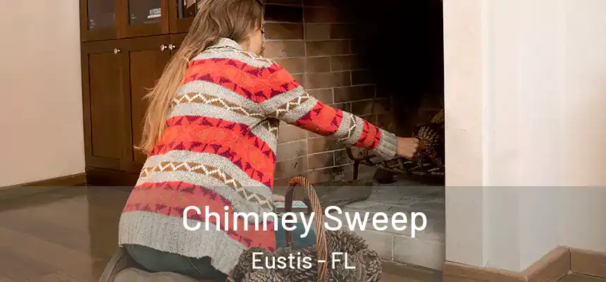 Chimney Sweep Eustis - FL