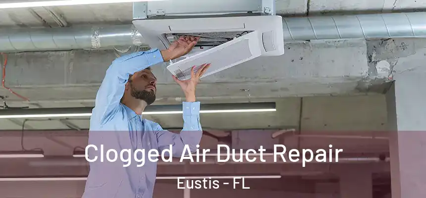 Clogged Air Duct Repair Eustis - FL