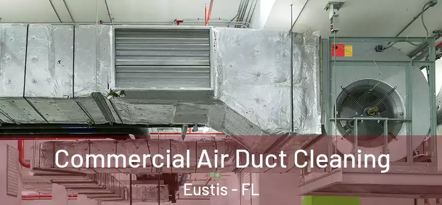  Commercial Air Duct Cleaning Eustis - FL