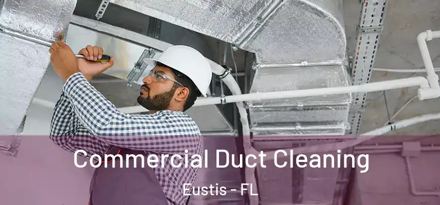  Commercial Duct Cleaning Eustis - FL