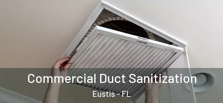 Commercial Duct Sanitization Eustis - FL