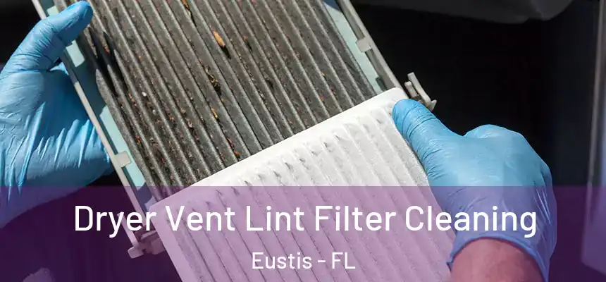 Dryer Vent Lint Filter Cleaning Eustis - FL