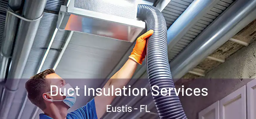 Duct Insulation Services Eustis - FL