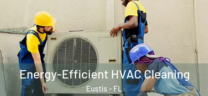 Energy-Efficient HVAC Cleaning Eustis - FL