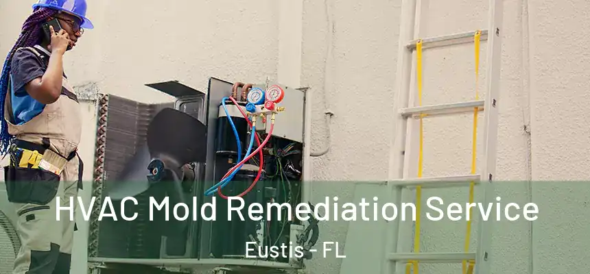 HVAC Mold Remediation Service Eustis - FL