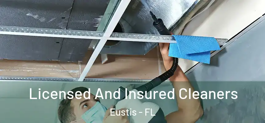 Licensed And Insured Cleaners Eustis - FL
