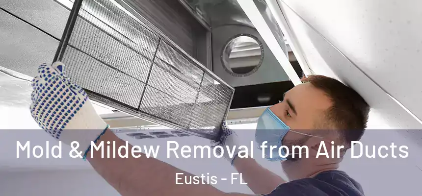 Mold & Mildew Removal from Air Ducts Eustis - FL