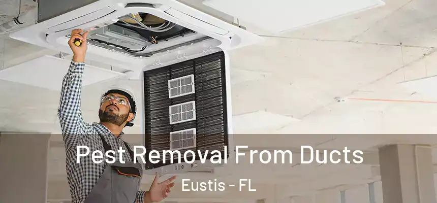 Pest Removal From Ducts Eustis - FL