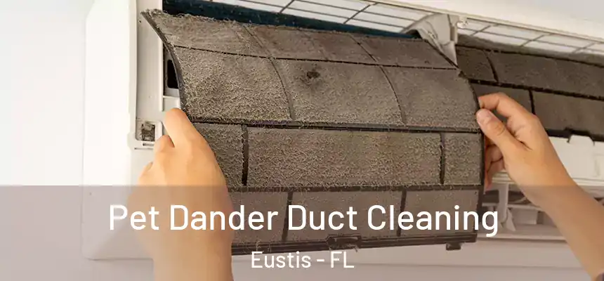 Pet Dander Duct Cleaning Eustis - FL