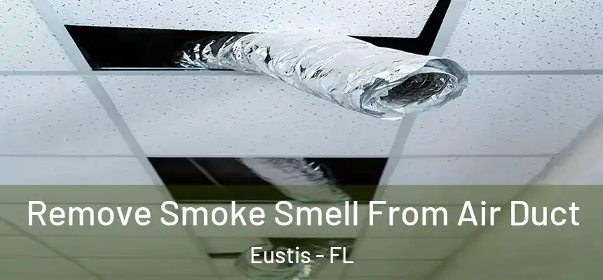 Remove Smoke Smell From Air Duct Eustis - FL