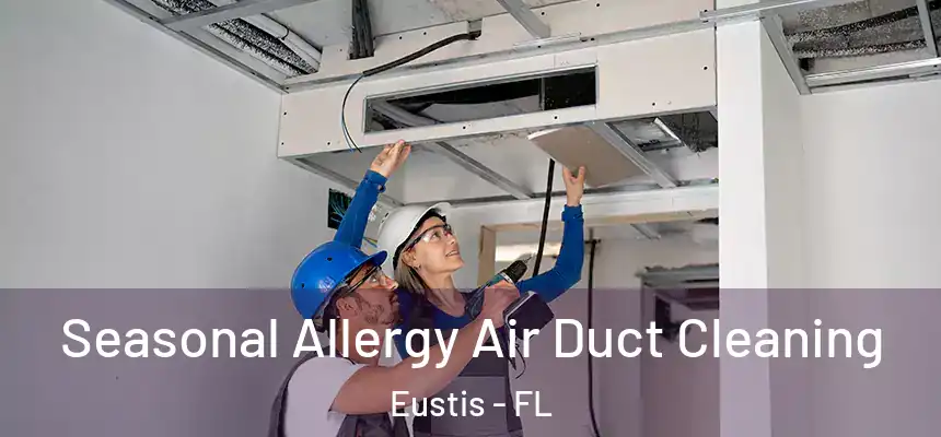  Seasonal Allergy Air Duct Cleaning Eustis - FL