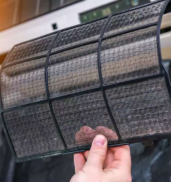 About Pet Dander Duct Cleaning in Eustis, FL